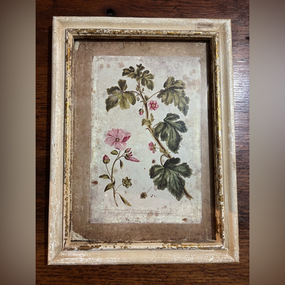 Williamsburg Creative Co-op Framed Floral Art Print 10x13 Rustic Cottagecore